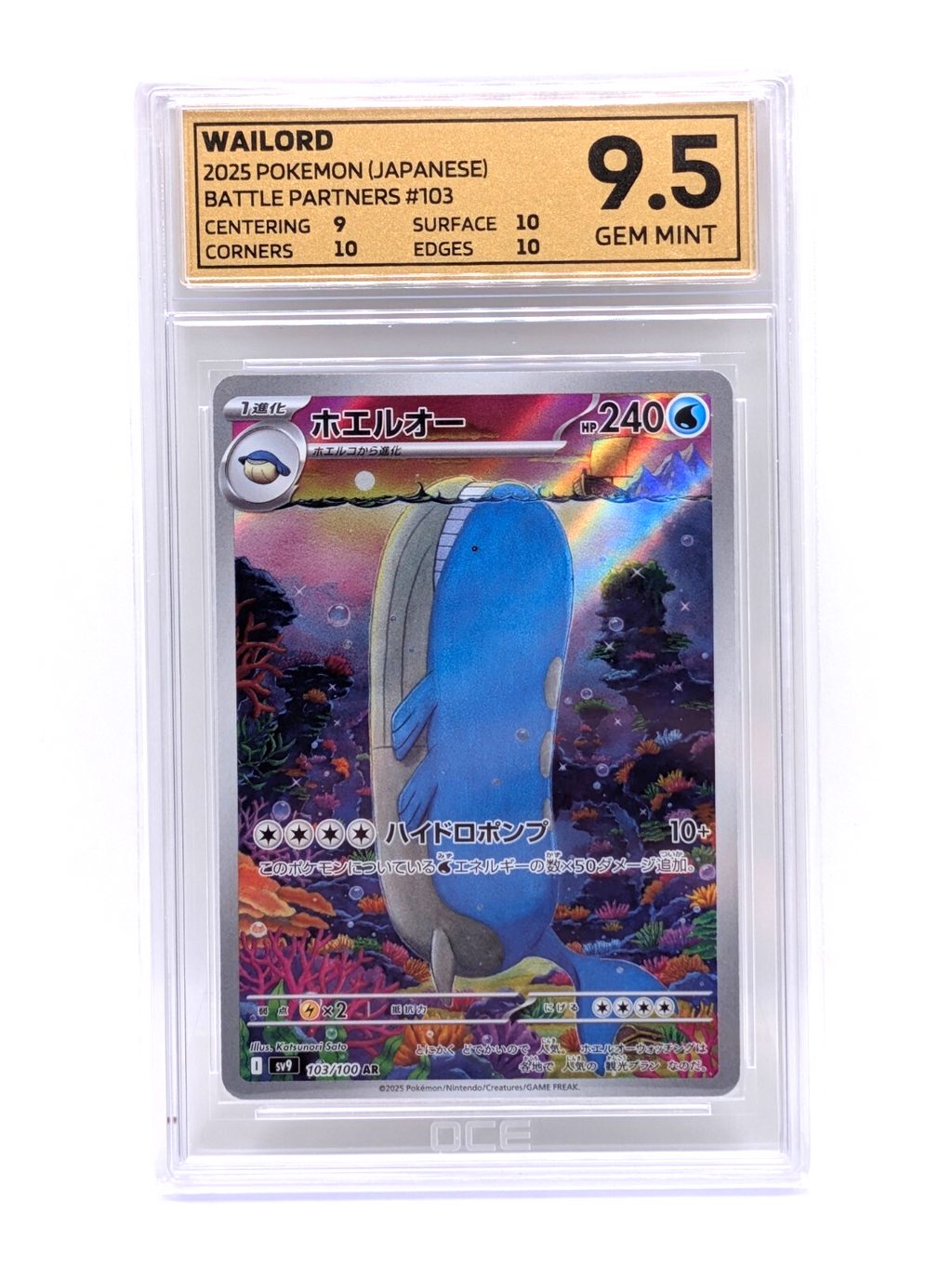 44981885