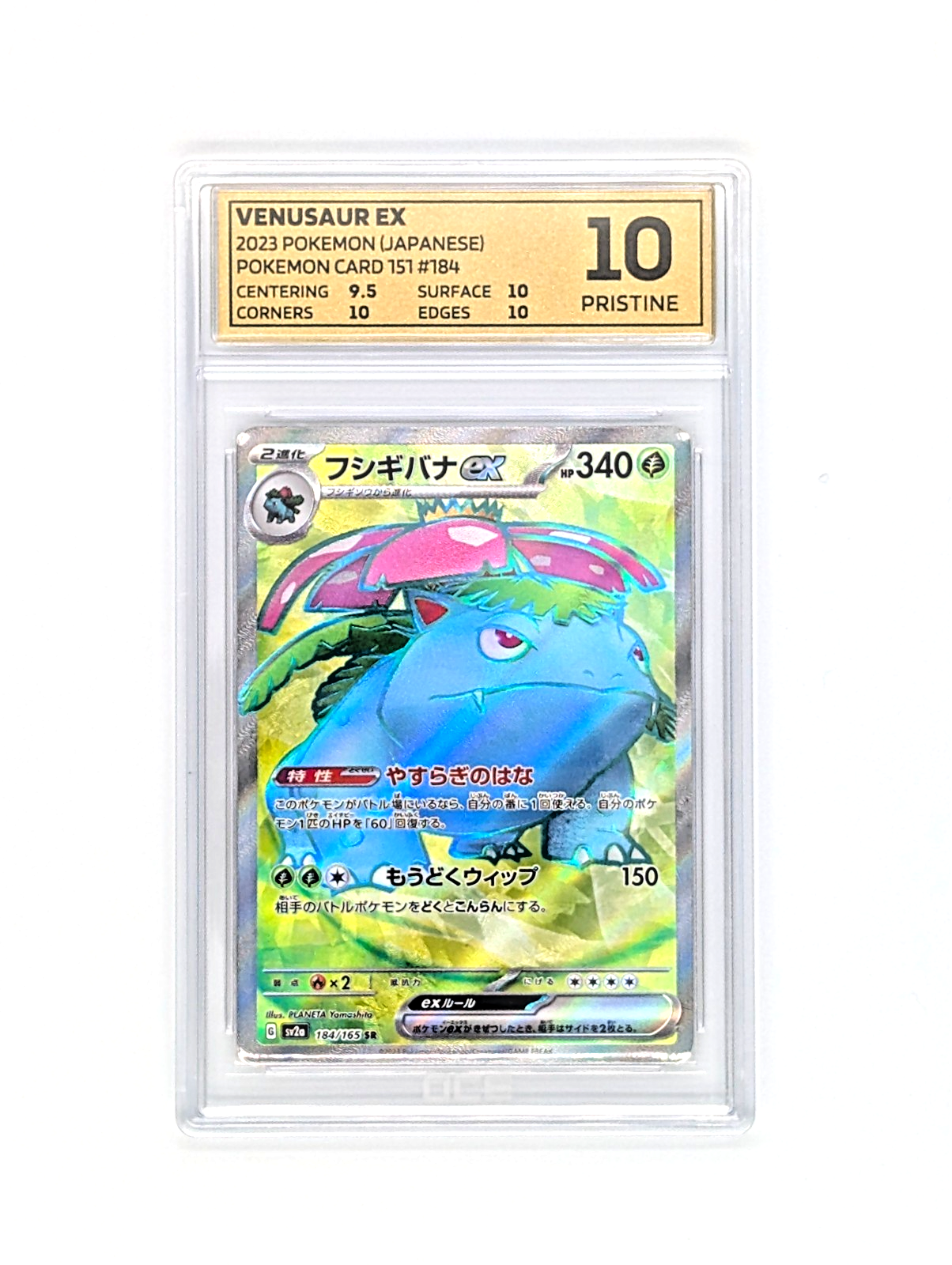 VENUSAUR EX 184/165 SR POKEMON 151 JAPANESE GRADED 10 – CARDSLAB