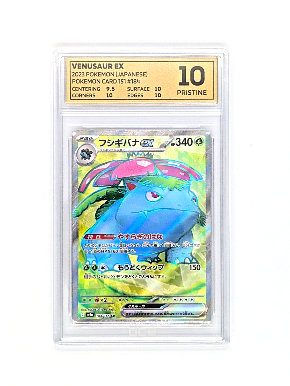 japanese graded pokemon cards VENUSAUR EX 184/165 SR POKEMON 151 JAPANESE GRADED 10 – CARDSLAB