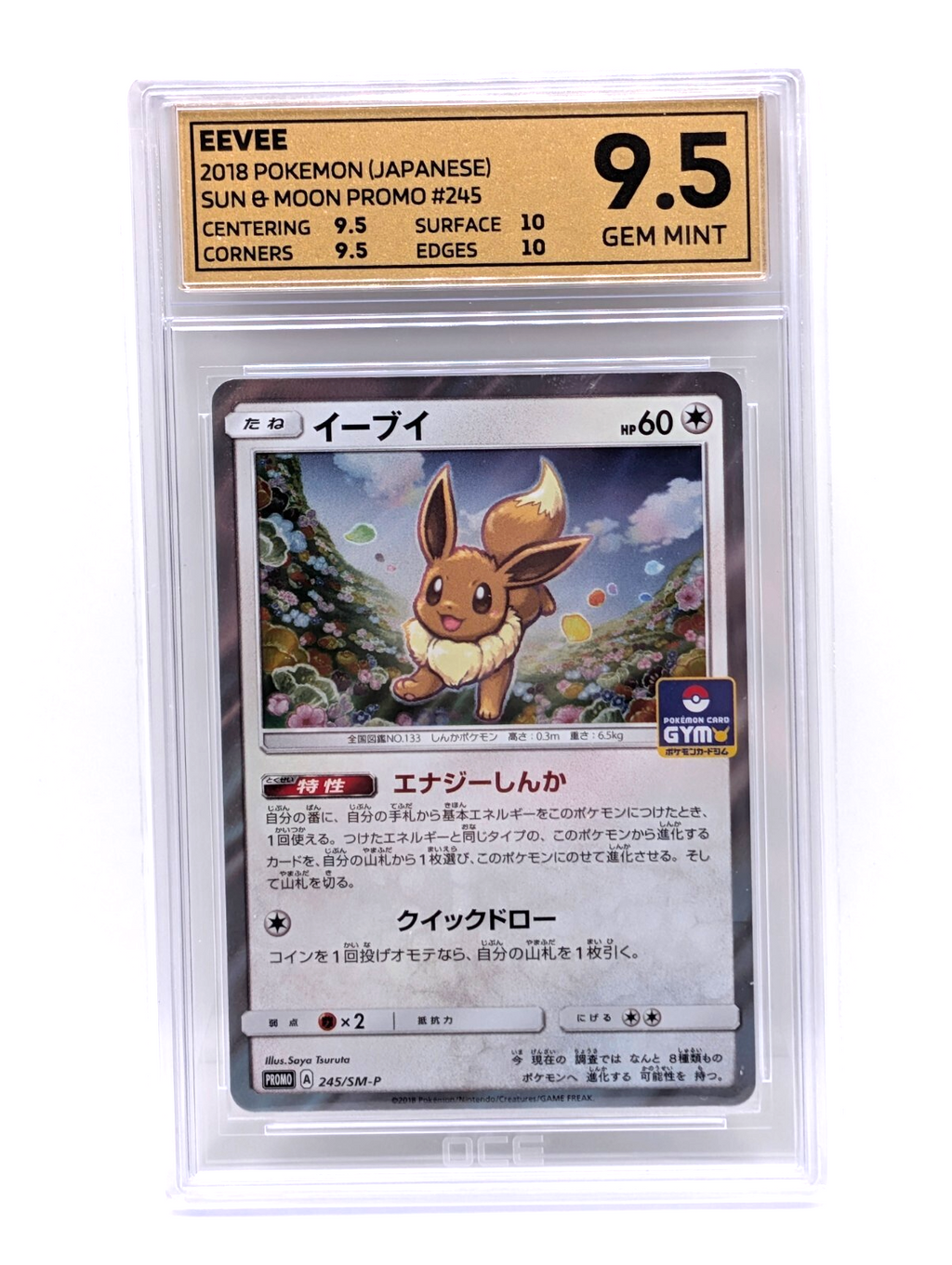 44981884