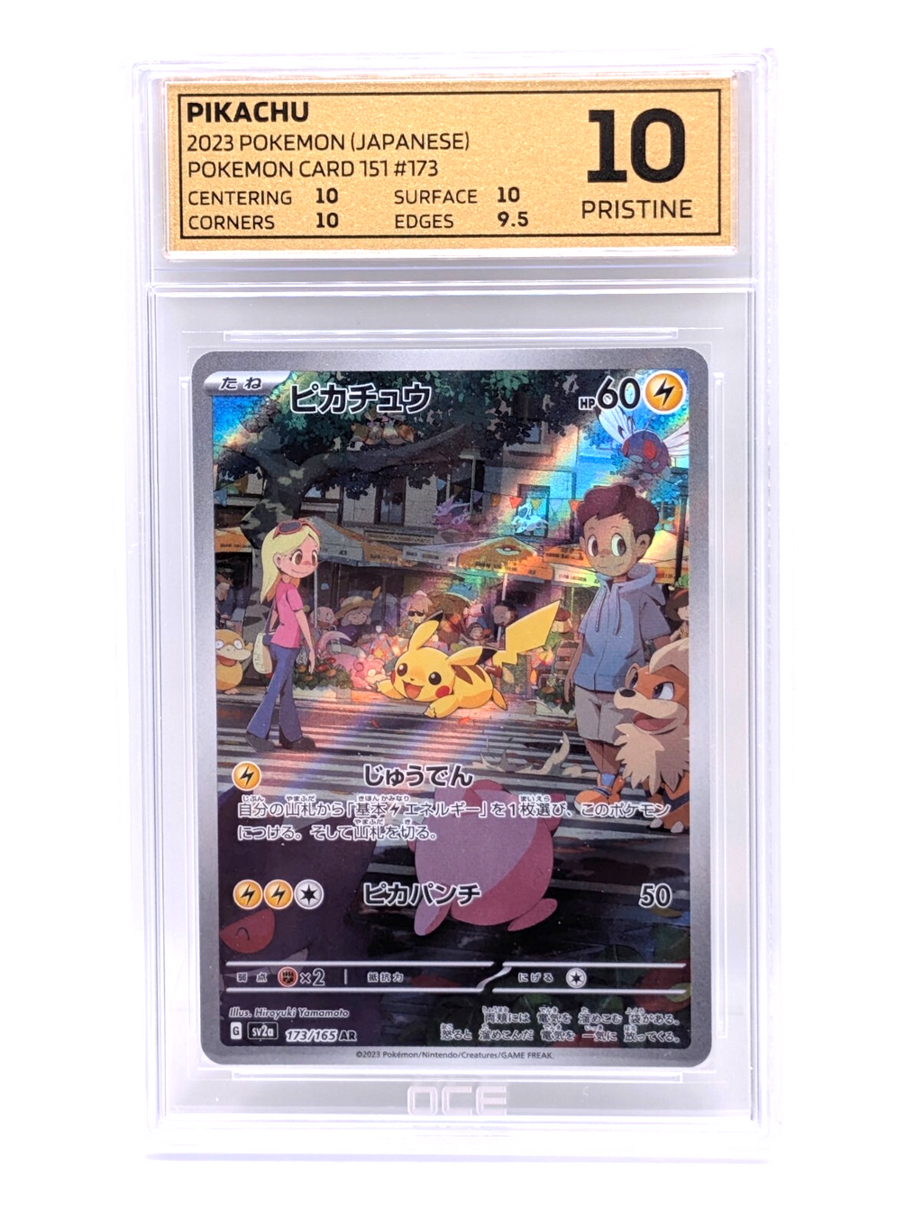 44985681