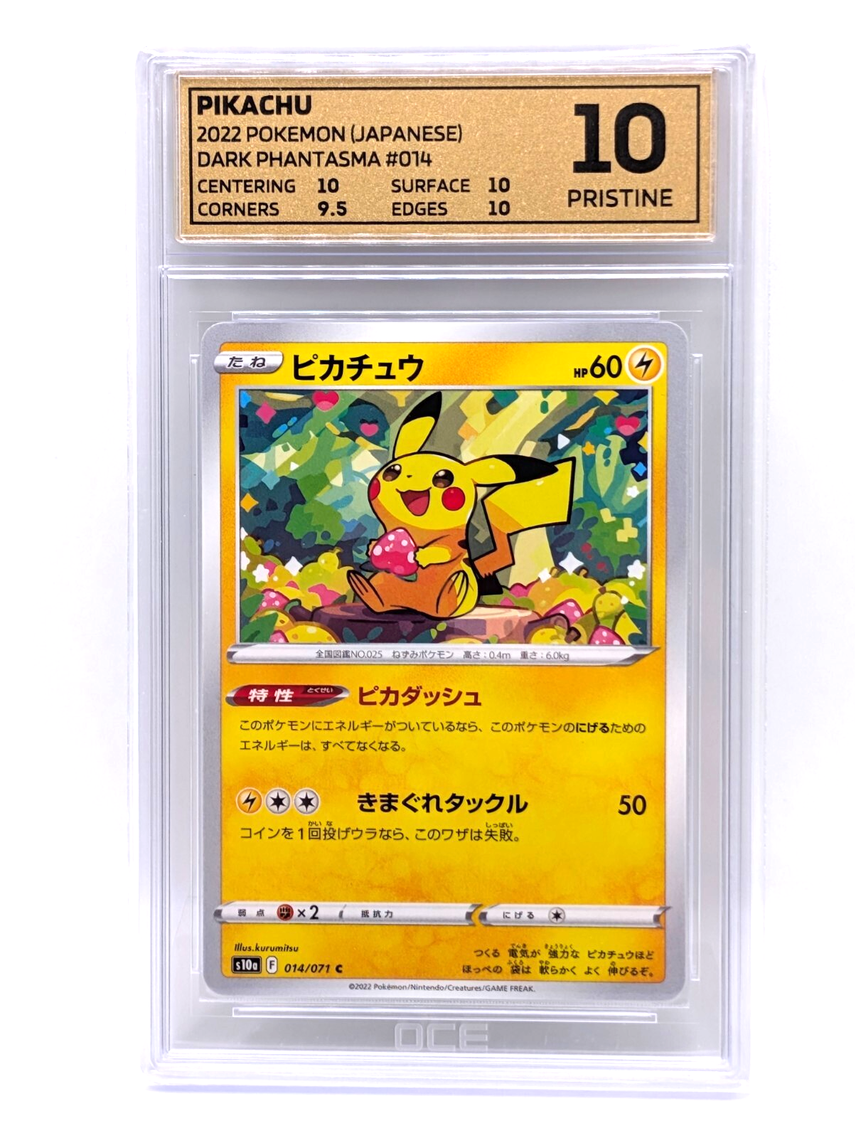 44985680